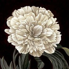 Cross stitch pattern: #1292454