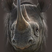 Cross stitch pattern: #1292681