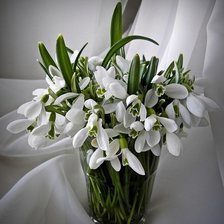 Cross stitch pattern: #1296156