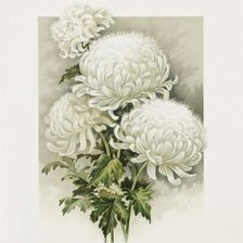 Cross stitch pattern: #1296190