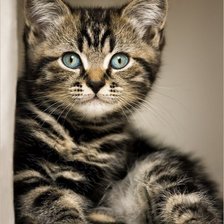 Cross stitch pattern: #1296200