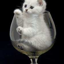 Cross stitch pattern: #1296239