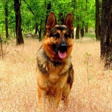 Cross stitch pattern: #1296282