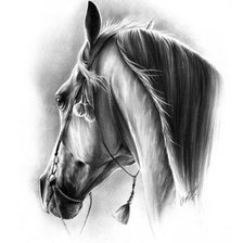 Cross stitch pattern: #1296340