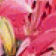 Preview of cross stitch pattern: #1296415