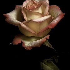 Cross stitch pattern: #1296835