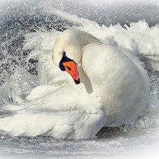 Cross stitch pattern: #1296953