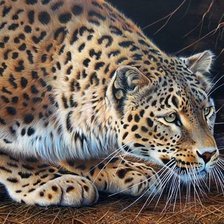 Cross stitch pattern: #1298170