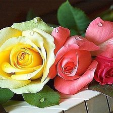 Cross stitch pattern: #1298347