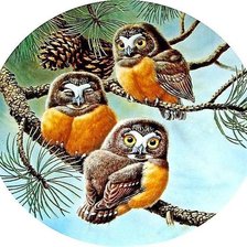 Cross stitch pattern: #1301312