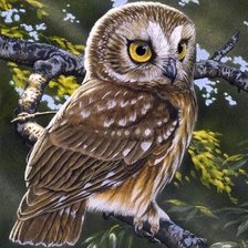 Cross stitch pattern: #1301914