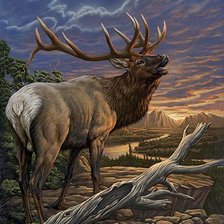 Cross stitch pattern: #1305737