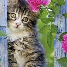 Cross stitch pattern: #1307376