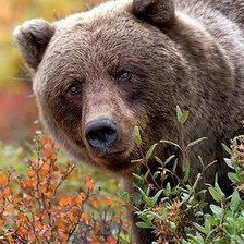 Cross stitch pattern: #1307378