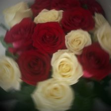 Cross stitch pattern: #1307705