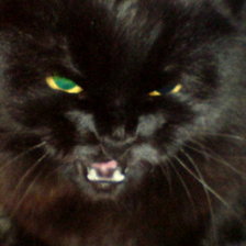 Cross stitch pattern: #1307711