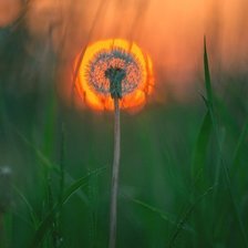 Cross stitch pattern: #1307801