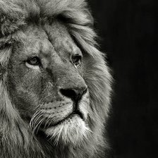 Cross stitch pattern: #1307835