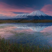 Cross stitch pattern: #1307853