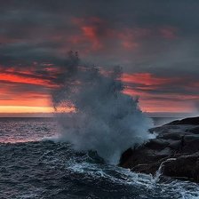 Cross stitch pattern: #1307855