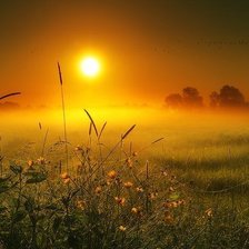 Cross stitch pattern: #1307857