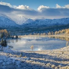 Cross stitch pattern: #1307858