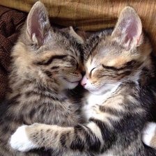 Cross stitch pattern: #1308333