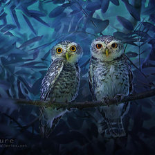 Cross stitch pattern: #1308889