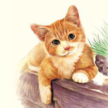 Cross stitch pattern: #1310399