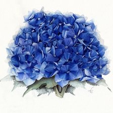 Cross stitch pattern: #1310481