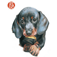 Cross stitch pattern: #1310529