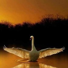 Cross stitch pattern: #1314510