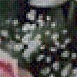 Preview of cross stitch pattern: #1315330