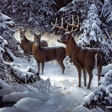 Cross stitch pattern: #1316047