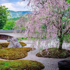 Cross stitch pattern: #1319798