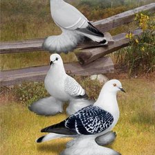 Cross stitch pattern: #1321871