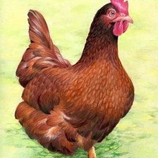 Cross stitch pattern: #1324499