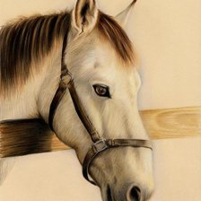 Cross stitch pattern: #1324509