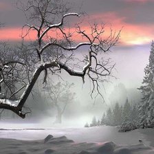 Cross stitch pattern: #1325219