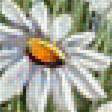 Preview of cross stitch pattern: #1329883