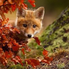 Cross stitch pattern: #1331738