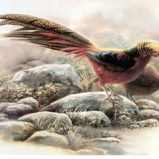 Cross stitch pattern: #1332174