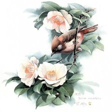 Cross stitch pattern: #1332184