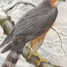 Cross stitch pattern: #1334199