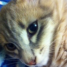 Cross stitch pattern: #1335786