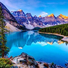 Cross stitch pattern: #1335959