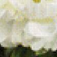 Preview of cross stitch pattern: #1336935