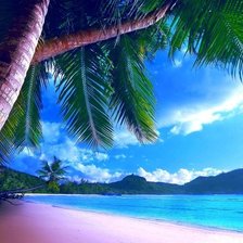 Cross stitch pattern: #1337741