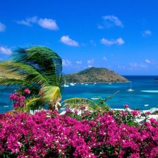 Cross stitch pattern: #1337743