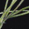 Preview of cross stitch pattern: #1338139